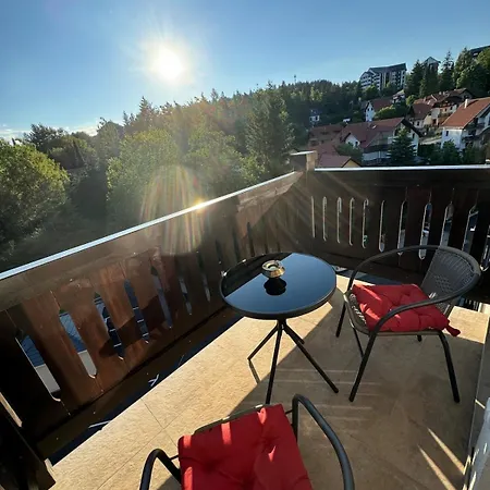 Apartament Traveller *